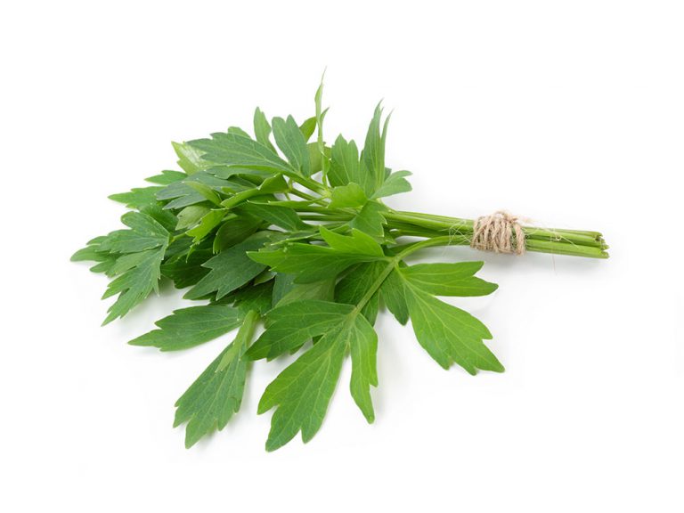 liv-che-direct-fines-herbes