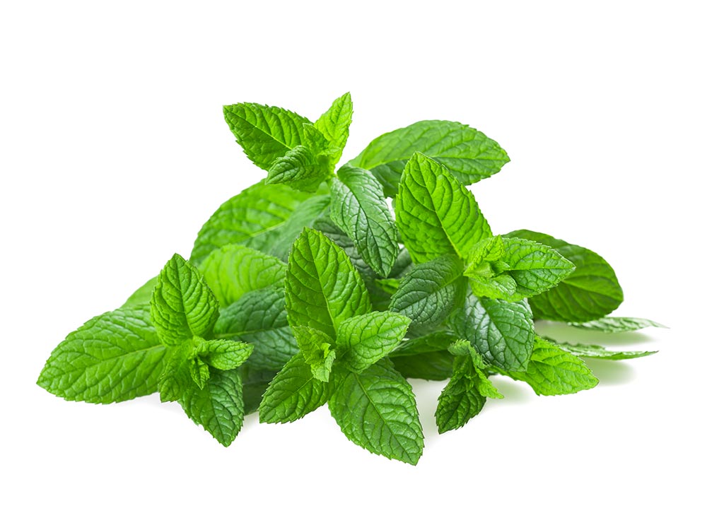 Menthe - Direct Fines Herbes