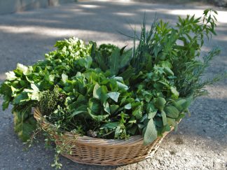 Herbes aromatiques