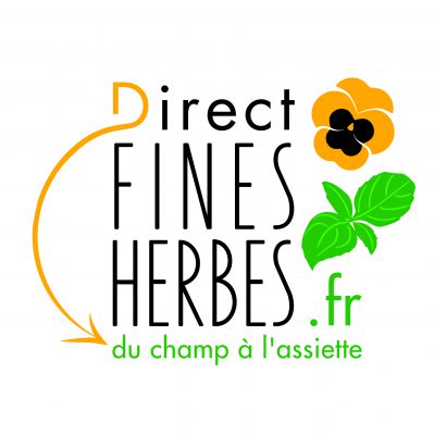 Menthe - Direct Fines Herbes